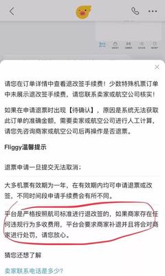 “飞猪”订票填错信息竟被要求交500元 航司 不用交，票务代理服务
